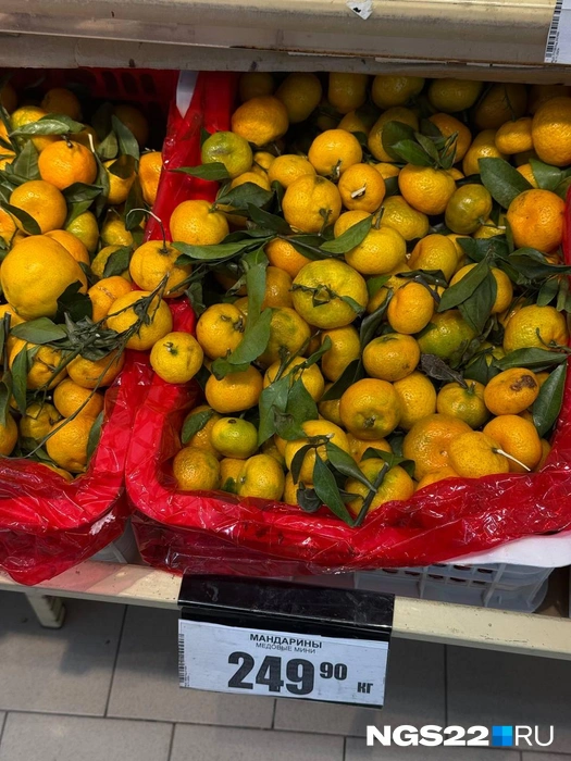 Сорт «медовые мини» | Источник: Полина Шевчукова / NGS22.RU