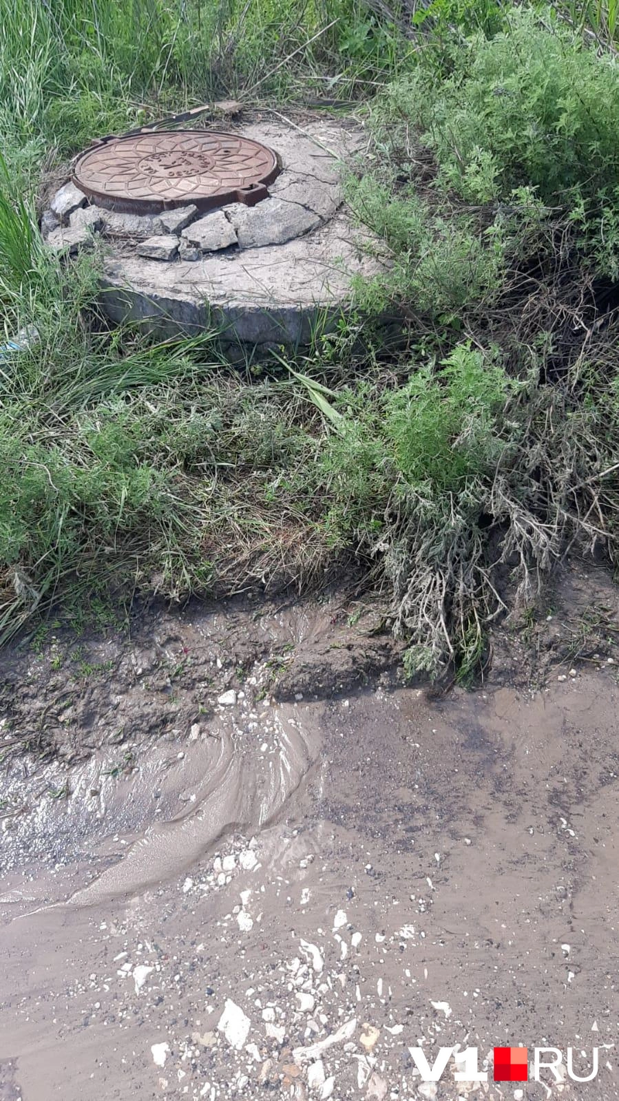 В Волгограде очередной порыв на водоводе. Питьевая вода угрожает затопить  Димитриевское кладбище - 25 мая 2022 - V1.ру