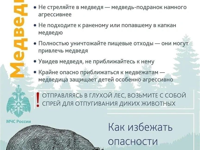 Спасатели рассказывали, как действовать | Источник: МЧС России