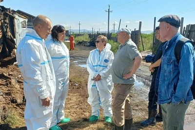 Гибель свиней в Маккавеево не скажется на поставках мяса