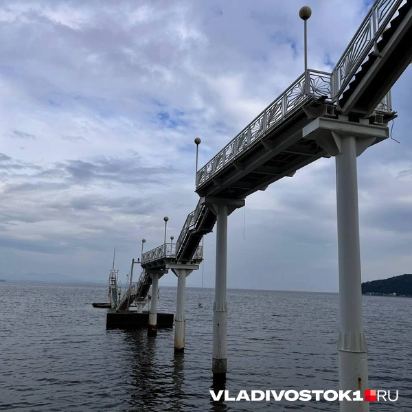 Источник: Алиса Князева / VLADIVOSTOK1.RU