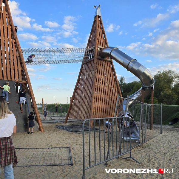 Источник: Ирина Булгакова \ Voronezh1.ru