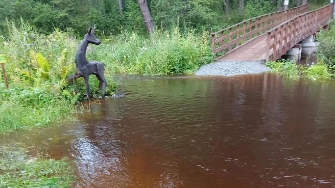 «Бажовские места» залило из-за подъема воды в реке Чёрной | Источник: bmpark / vk.ru