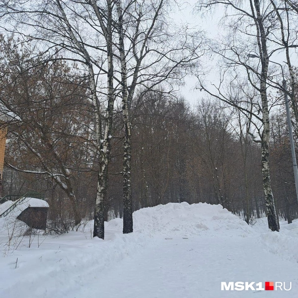 За спорткомплексом находится небольшой парк | Источник: Арина Майорова / MSK1.RU