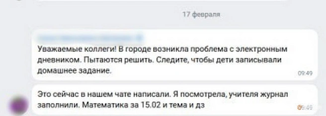 «Ничего не грузится». Петербургские родители жалуются на сбои в работе электронных дневников | Источник: «Фонтанка.ру»