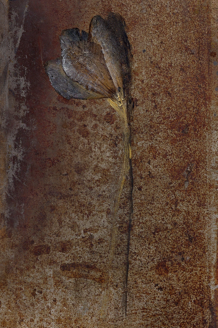 Источник: Askeri Gallery