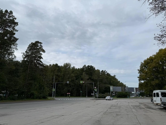 Источник: Дарья Староверова / NGS.RU