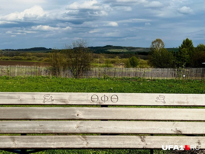 Левая куница быстрее | Источник: Андрей Бирюков / UFA1.RU