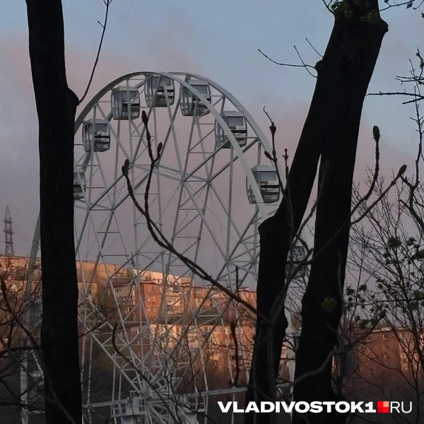 Источник: Елена Буйвол / VLADIVOSTOK1.RU