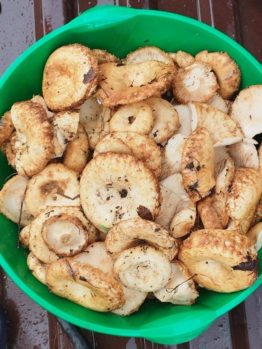 Партизанский район | Источник: Таня Куталова / VK