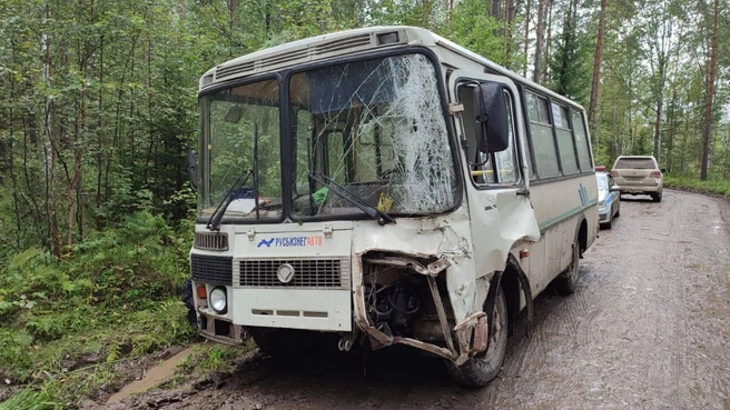Автобус улетел в кювет | Источник: МВД 24 / T.me