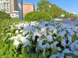 Источник: kuzrab.ru