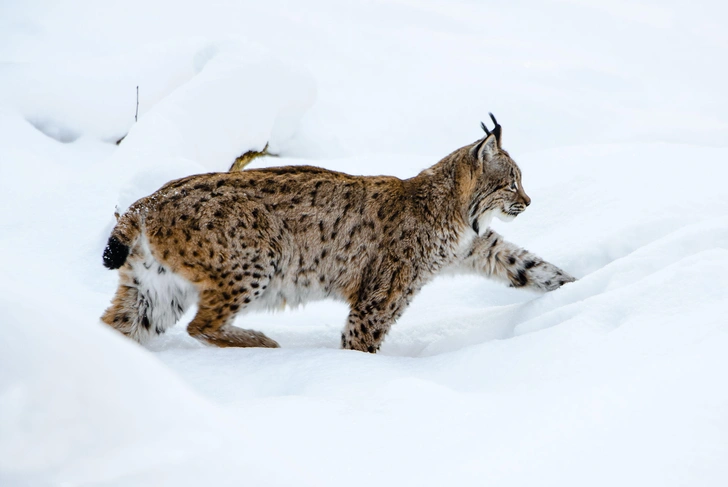 Источник: David Havel / Alamy via Legion Media