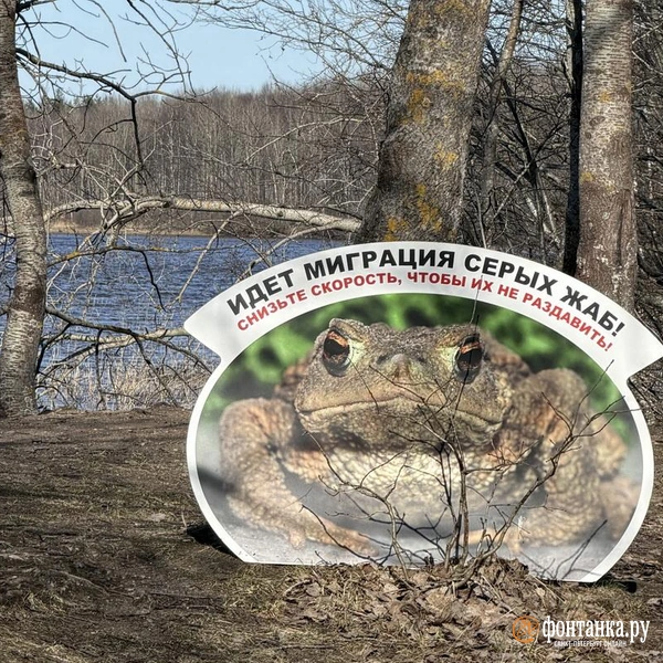 Источник: Евгения Горбунова / FONTANKA.RU