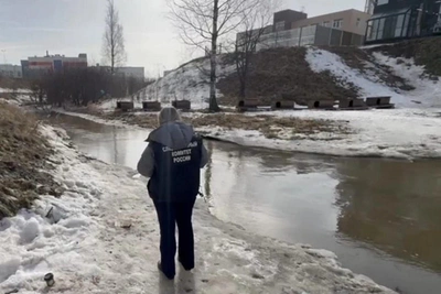 В Петербурге из реки Утка достали тело девушки