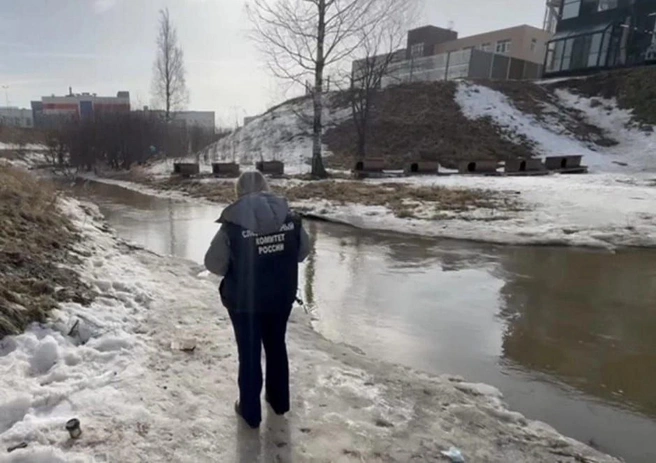 К реке Утка в Петербурге приехали спасатели, а потом — СК. Из воды достали тело | Источник: ГСУ СК РФ по Петербургу