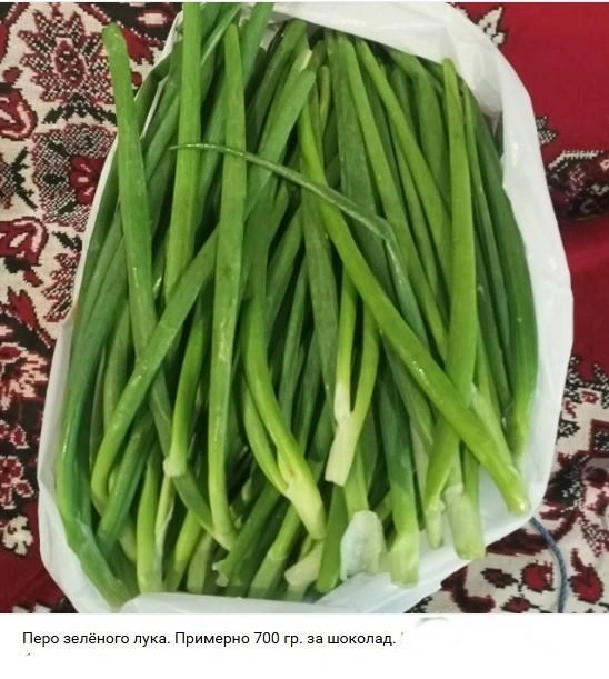 Источник: Мой рынок Архангельск Северодвинск Новодвинск / Vk.com