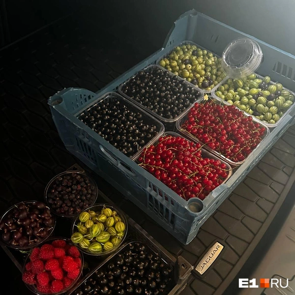 Источник: читатель Е1.RU
