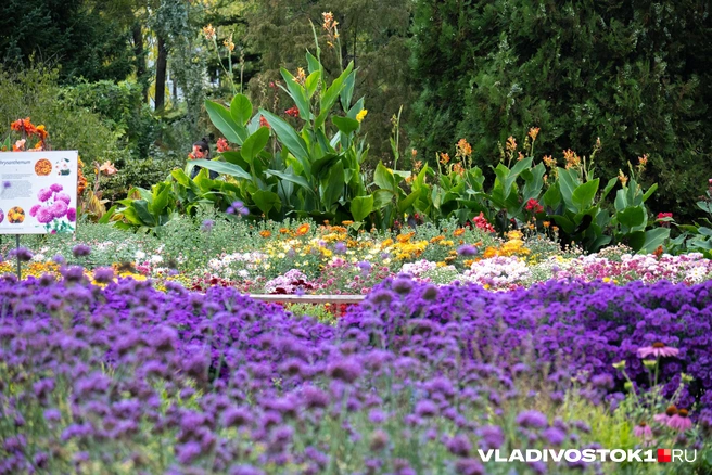 Источник: Елена Буйвол / VLADIVOSTOK1.RU