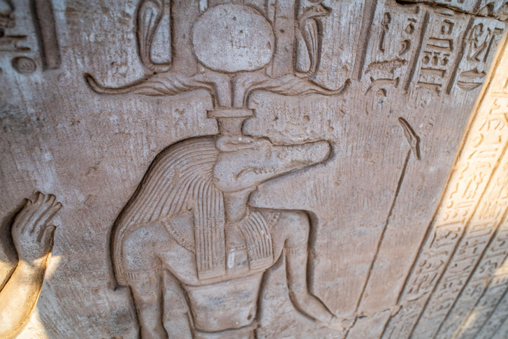 Подарок чиновнику: в египетских гробницах 4000-летней давности нашли головы крокодилов