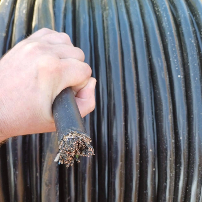 Петербуржец умыкнул полкилометра кабеля с полигона в Ленобласти, сжег его в лесу и сдавал по частям | Источник: УТ МВД России по СЗФО