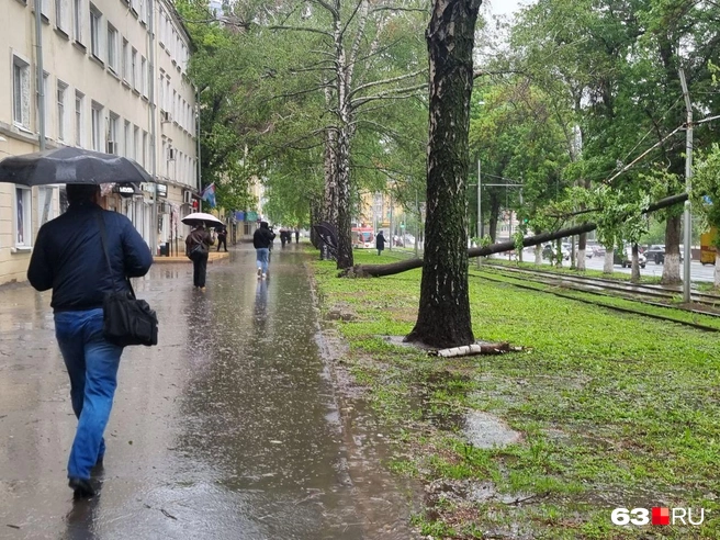 Похоже, что дожди зарядили надолго | Источник: Роман Данилкин / 63.RU