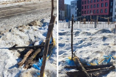 В Воронеже мужчина провалился в люк во время прогулки с ребенком