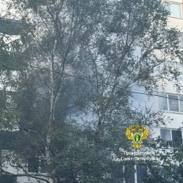 Взрыв газа в жилом доме на улице Стойкости стал причиной гибели человека | Источник: Прокуратура г. Санкт-Петербурга