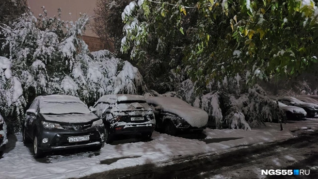 Снег шел вчера весь день  | Источник: читатель NGS55.RU 