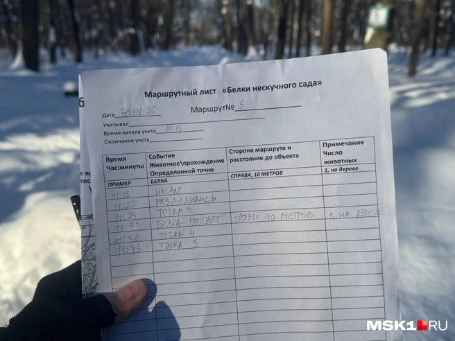 На почерк внимания не обращать: на улице -15 градусов | Источник: Анастасия Харитонова / MSK1.RU