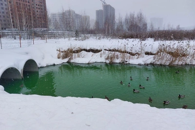 Река Миасс в центре Челябинска окрасилась в ярко-зеленый цвет