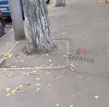 В прошлом году афальтомкатали деревья Рахова | Источник: «Я люблю Саратов | Новости"/ T.me