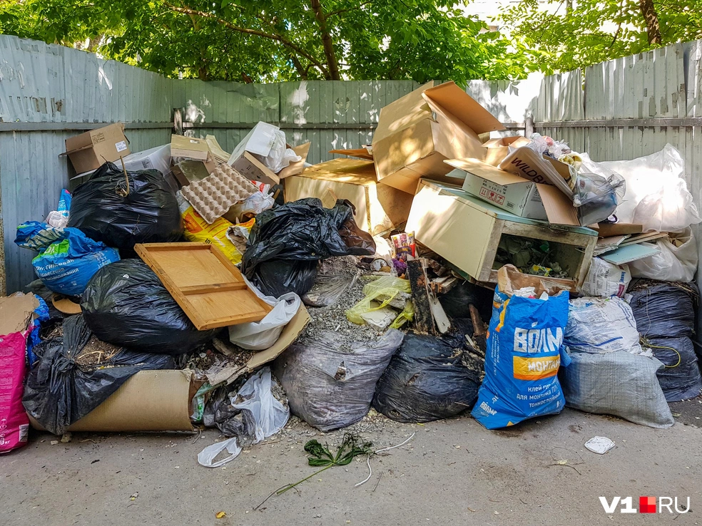 Горожане неоднократно жаловались на проблемы с вывозом мусора | Источник: Константин Завриков