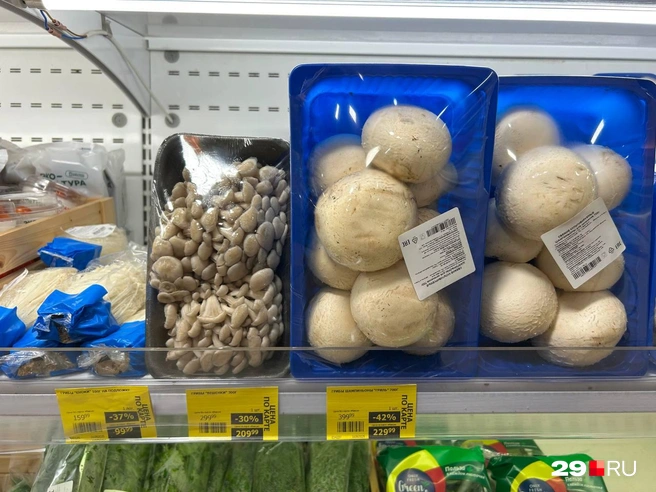 Источник: Кристина Полевая / 29.RU