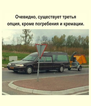 Самые смешные картинки с черным юмором за лето 2025 года
