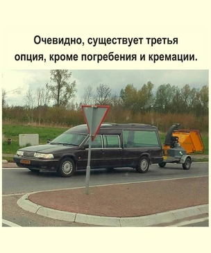Самые смешные картинки с черным юмором за лето 2025 года