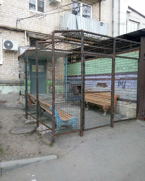 На Ставрополье нашли «подъезд строгого режима» (фото)