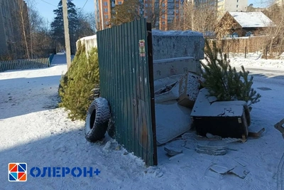 «Олерон+» рассказал, как утилизировать ёлки в Забайкалье