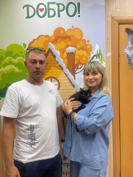 Коту сейчас почти три года | Источник: «Омские хвостики» / Vk.com