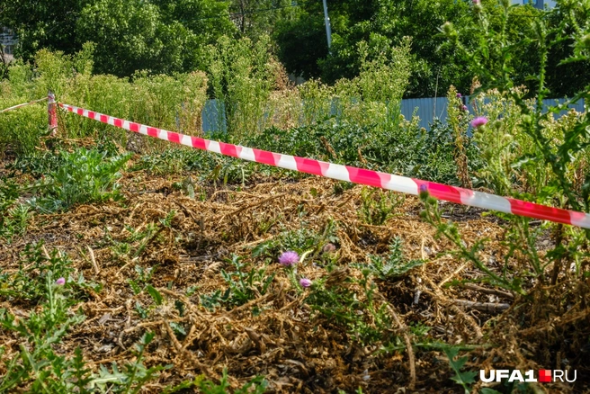 Некоторые из активистов хотят наладить контакт с сообществом ученых | Источник: Булат Салихов