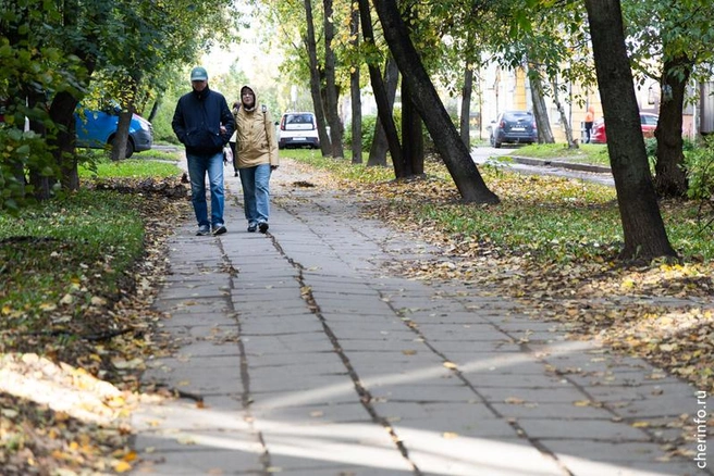 Источник: st.cherinfo.ru