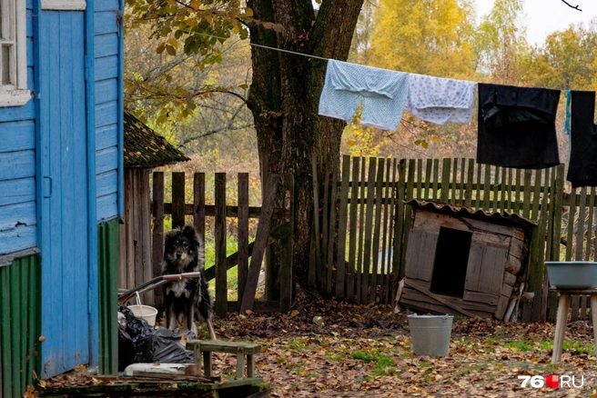 Постоянные жители никуда не уедут, поэтому деревня не будет безлюдной | Источник: Кирилл Поверинов / 76.RU