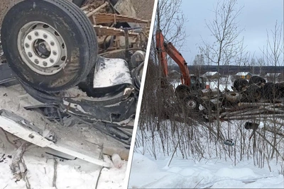 Лесовоз перевернулся в Вилегодском округе, водитель погиб