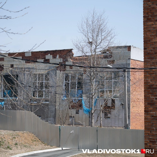 Источник: Елена Буйвол / VLADIVOSTOK1.RU