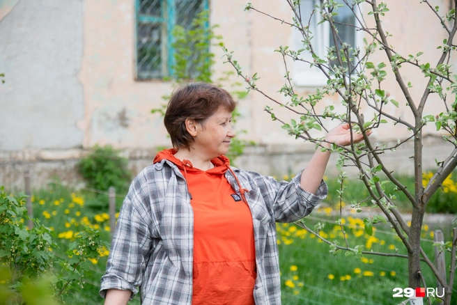 Виктория сама покупала первые деревья для сада&nbsp;— яблони | Источник: Иван Митюшёв / 29.RU