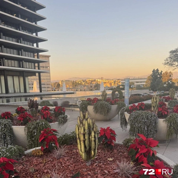 Источник: Читатель 72.RU