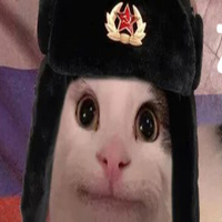 Аватарка Chelnok