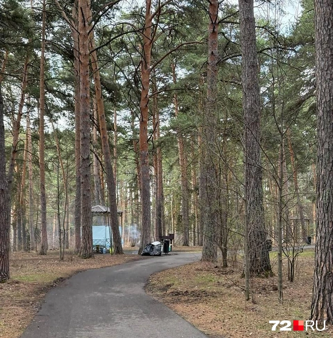 Утром было занято всего лишь три беседки на всю Гилевку  | Источник: Мария Токмакова / 72.RU
