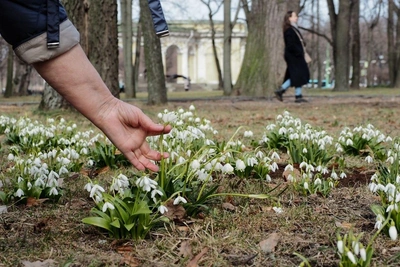 Аномально теплая погода в Санкт-Петербурге продлится до конца недели