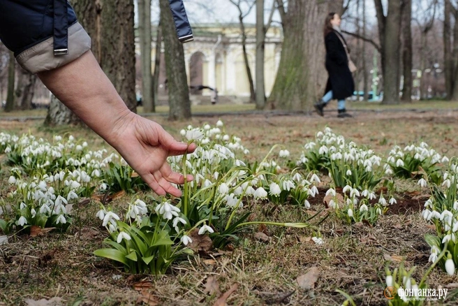 Необычная погода в Петербурге продержится до выходных | www.fontanka.ru